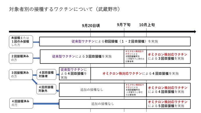 接種開始時期の目安