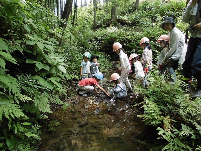 沢遊びの様子の写真