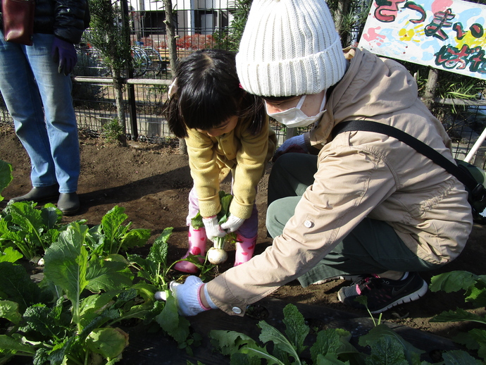 前回の様子の写真