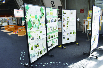 緑のカーテンレポート展示の写真