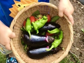 かごに収穫した野菜の写真