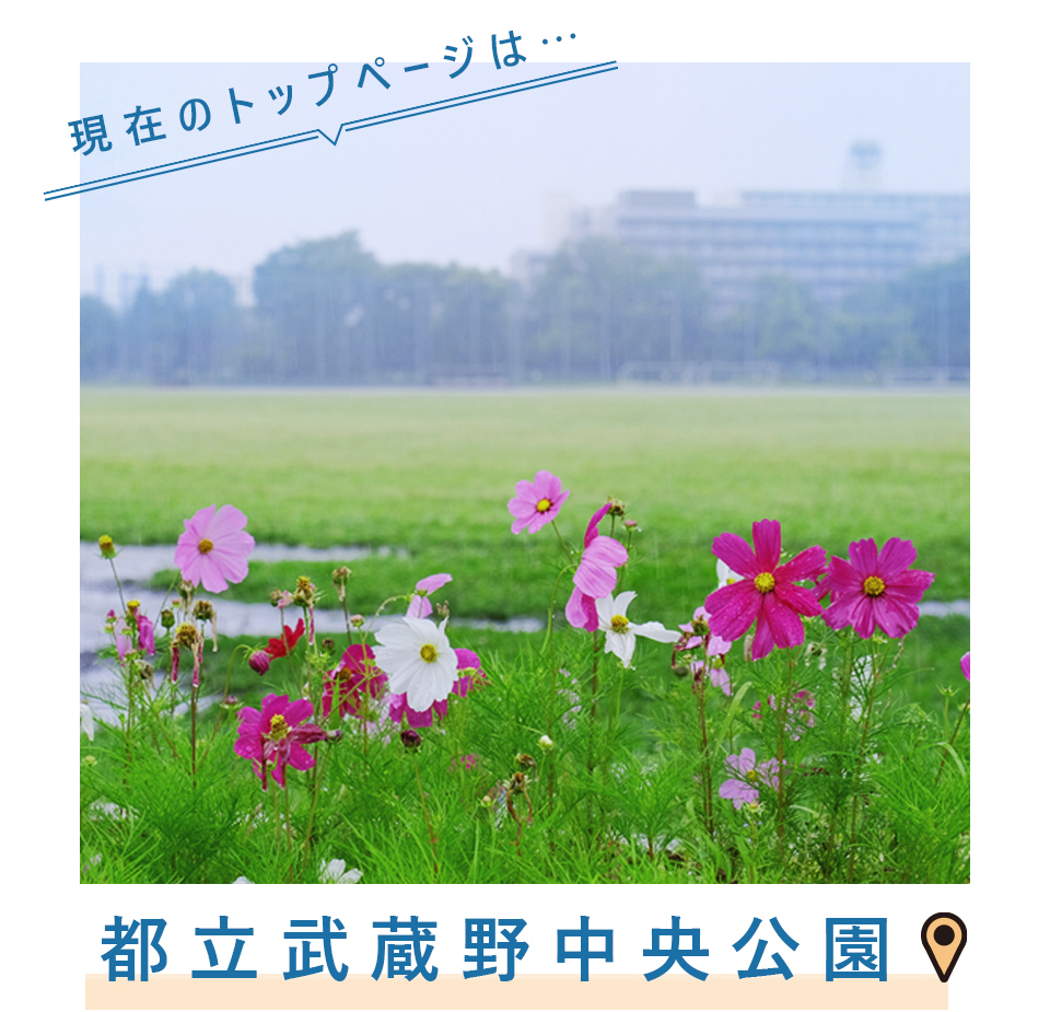 現在のトップページは...都立武蔵野中央公園
