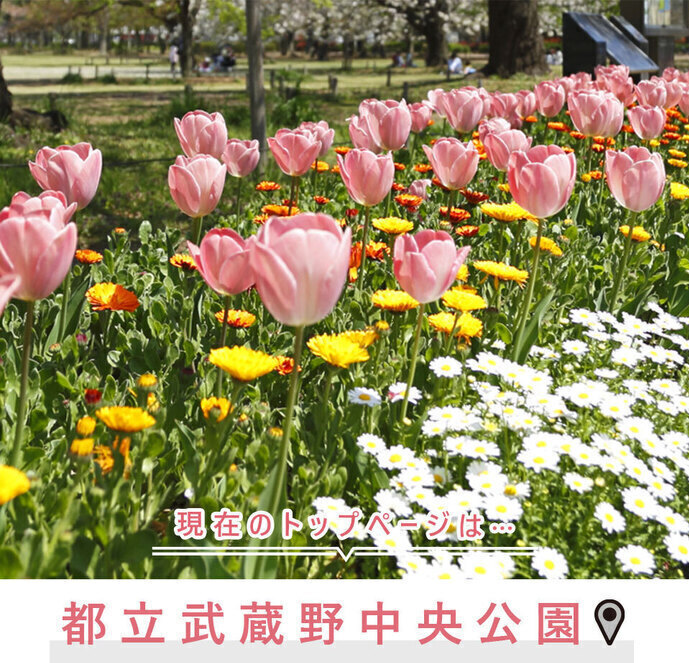 現在のトップページは..都立武蔵野中央公園