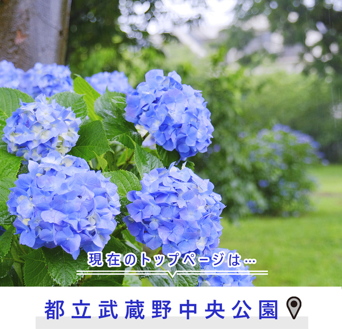 現在のトップページは..都立武蔵野中央公園
