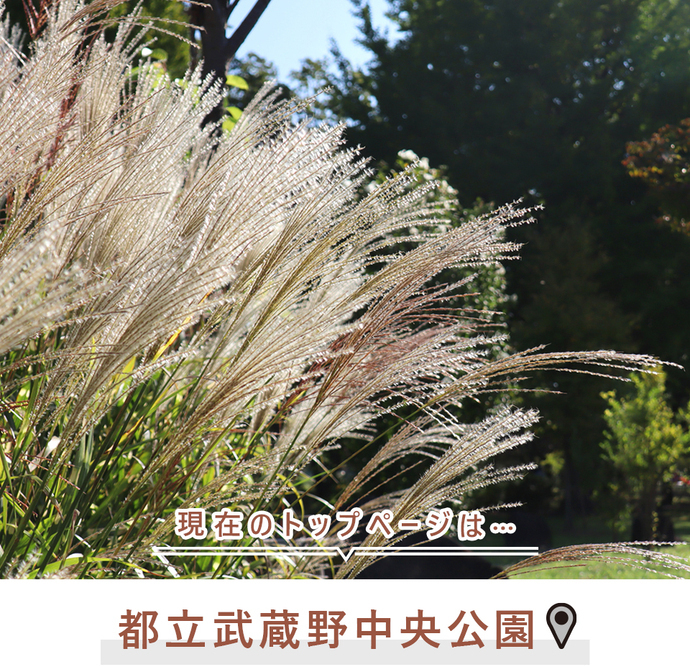 現在のトップページは..都立武蔵野中央公園