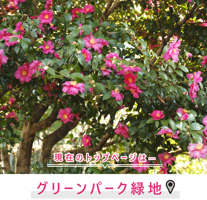 現在のトップページは..グリーンパーク緑地