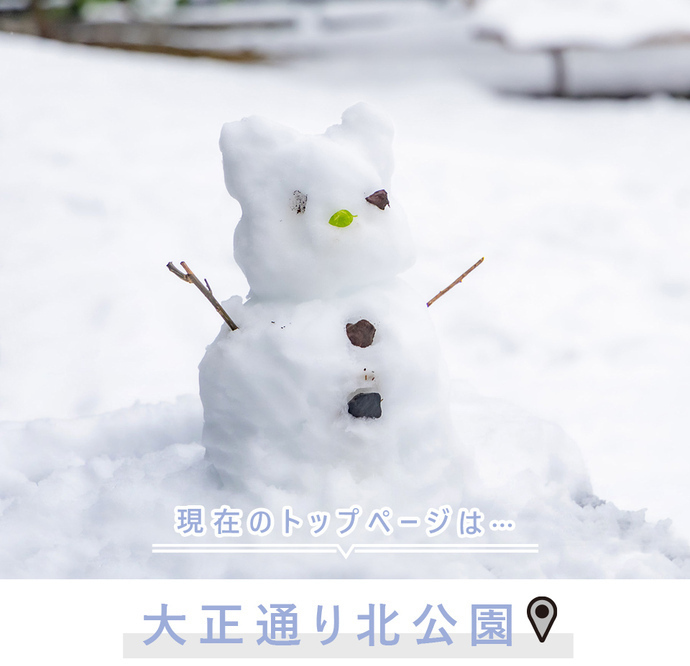 現在のトップページは..大正通り北公園