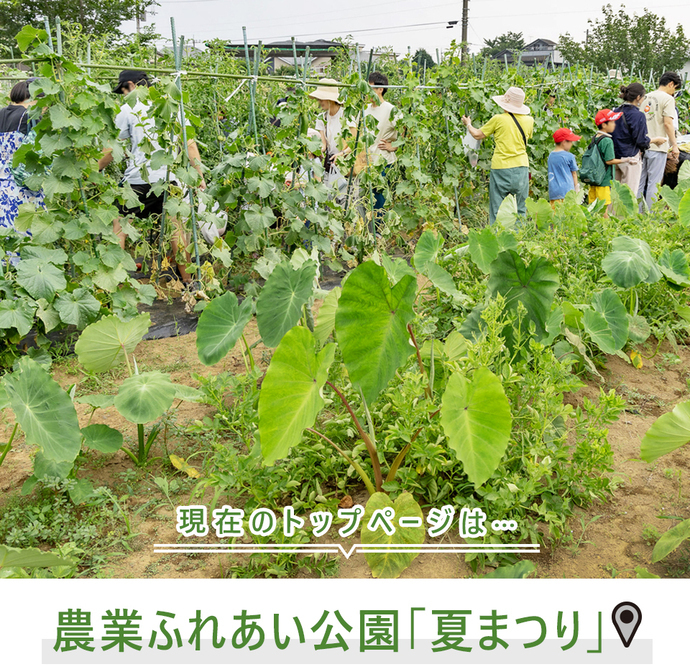 現在のトップページは..農業ふれあい公園「夏まつり」