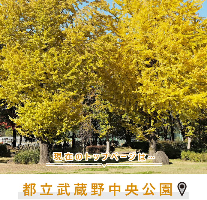 現在のトップページは...都立武蔵野中央公園