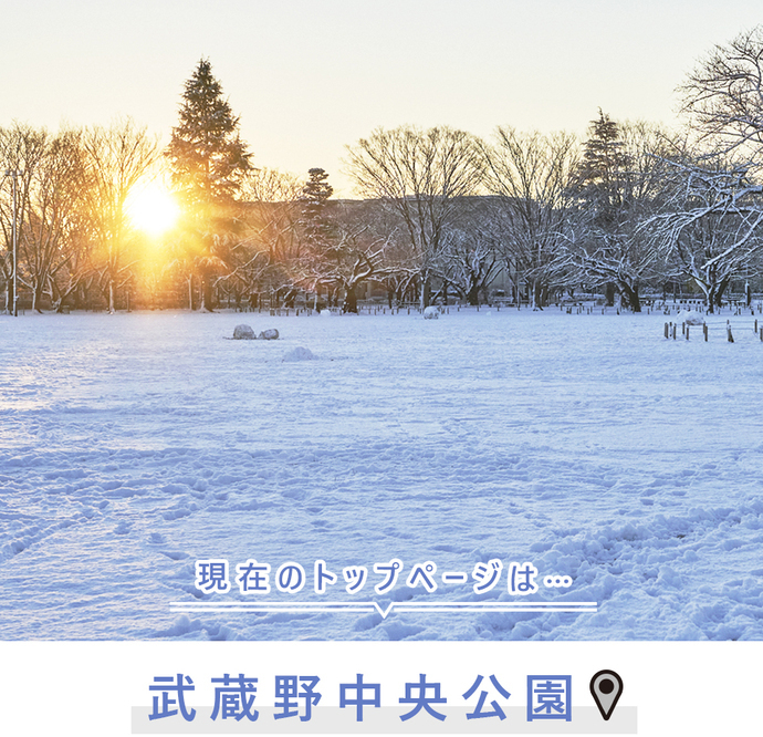 現在のトップページは...武蔵野中央公園