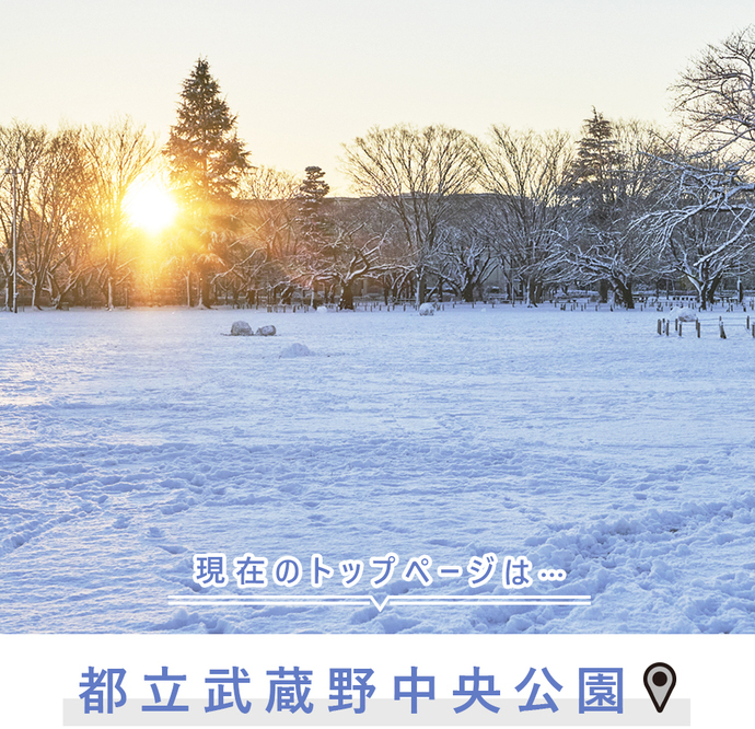 現在のトップページは...武蔵野中央公園