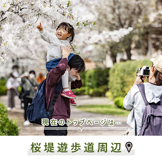 現在のトップページは...桜堤遊歩道周辺