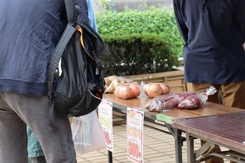 市内農産物野菜販売の写真