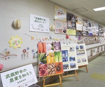 写真: 展示の様子