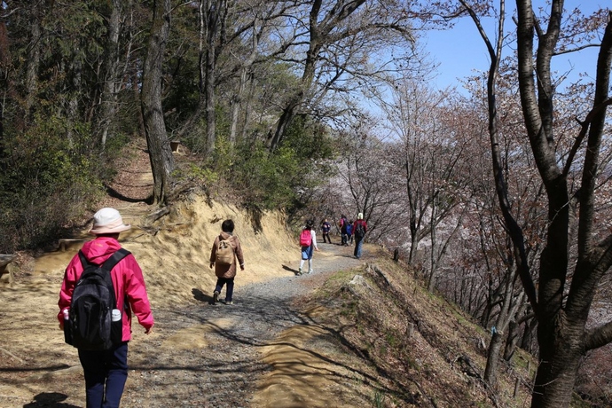 山歩きの様子の写真