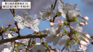 令和7年3月1日から放送分のサムネイル