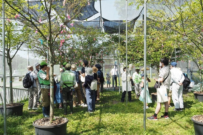 写真：見学会の様子1