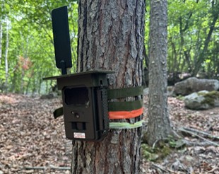 トレイルカメラ