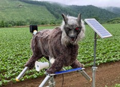 野生動物撃退装置 （モンスターウルフ）