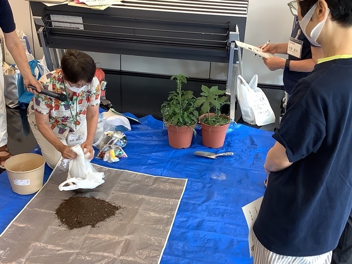 植木鉢で土づくりの様子