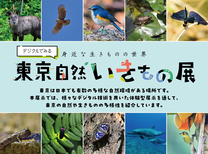 デジタルでみる身近な生きものの世界 東京自然いきもの展 東京は日本でも有数の多様な自然環境がある場所です。本展示では、様々なデジタル技術を用いた体験型展示を通して、東京の自然や生きものの多様性を紹介しています。