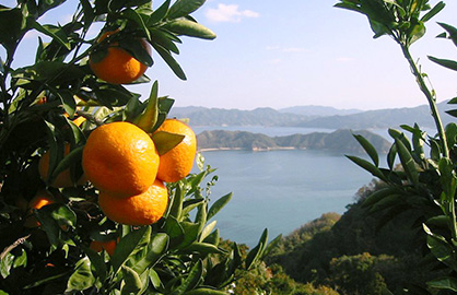 広島県 大崎上島町