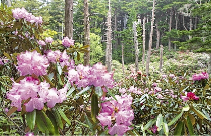 長野県 川上村