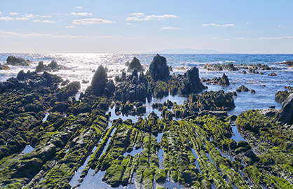 千葉県 南房総市