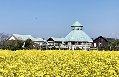 千葉県 南房総市