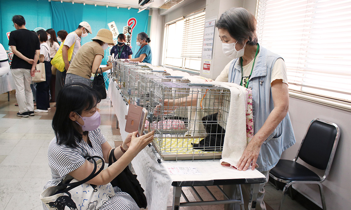 人と猫、どちらも気持ちよく暮らせるまちづくりを目指して。