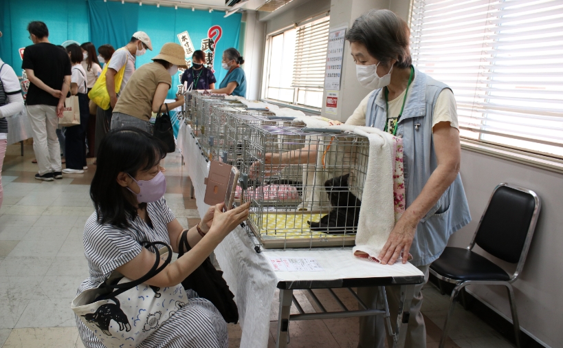 猫の譲渡会にて保護主さんと見学者さん